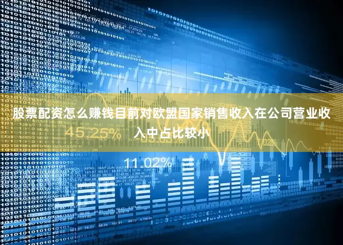 股票配资怎么赚钱目前对欧盟国家销售收入在公司营业收入中占比较小