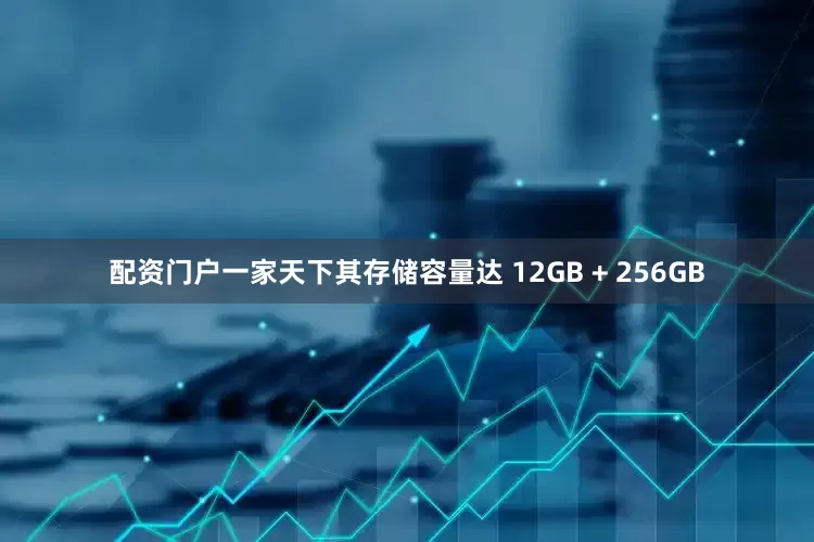 配资门户一家天下其存储容量达 12GB + 256GB