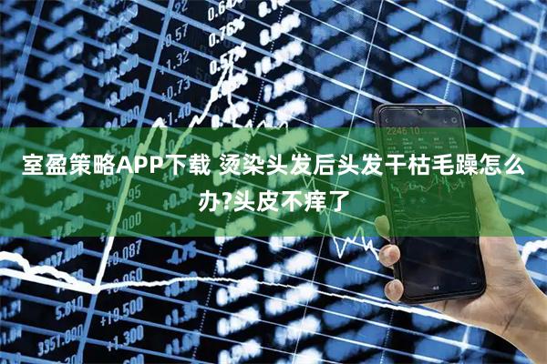 室盈策略APP下载 烫染头发后头发干枯毛躁怎么办?头皮不痒了